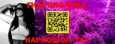 jwh Пыть-Ях