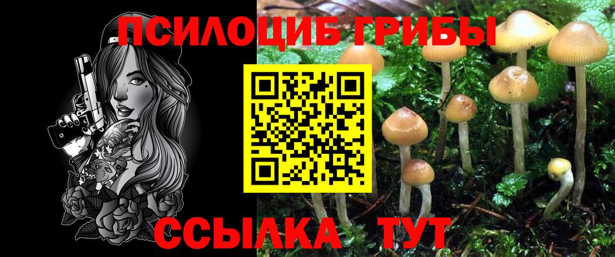 Галлюциногенные грибы Psilocybine cubensis  Галлюциногенные грибы Psilocybine cubensis  Сальск  Вход с VPN 