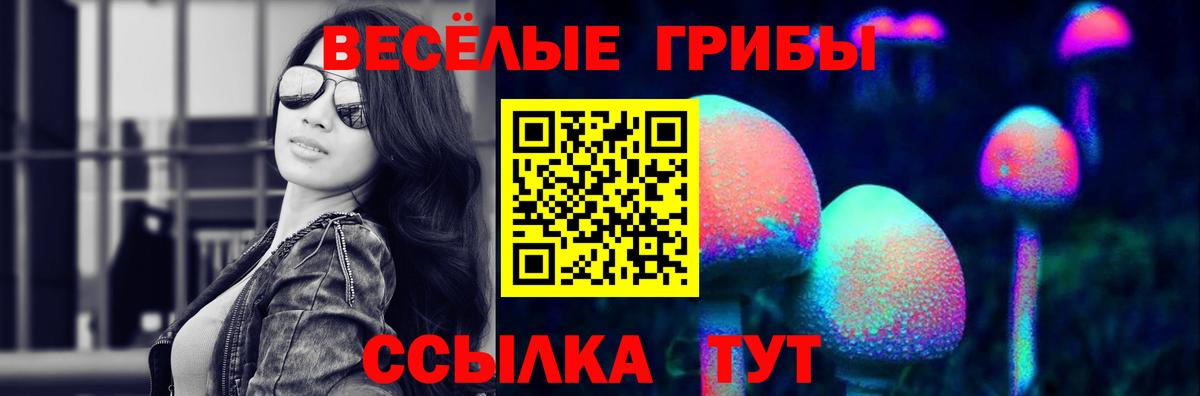 Галлюциногенные грибы GOLDEN TEACHER Сальск